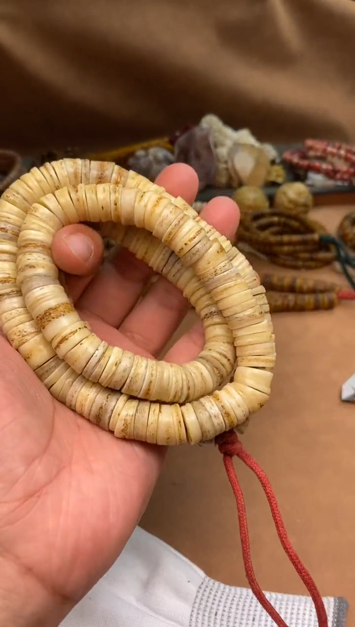 其他牛骨G016-白嘎长串