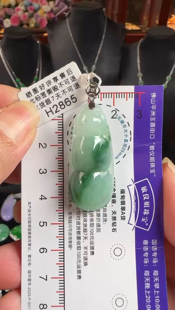 颈饰18K金镶嵌翡翠H2865富贵豆