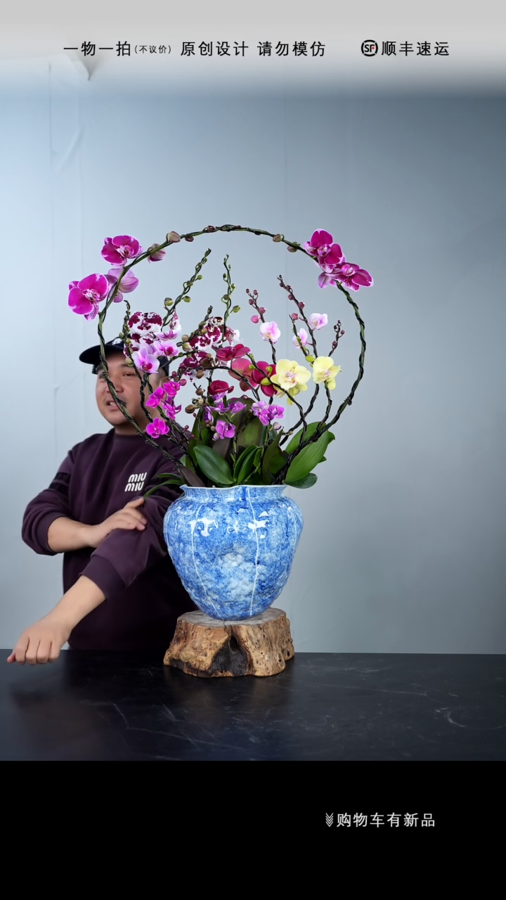 【闪购商品】030号链接【一物一拍】艺术盆景