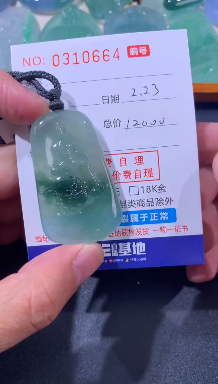 【闪购商品】翡翠颈饰未镶嵌天然A货翡翠