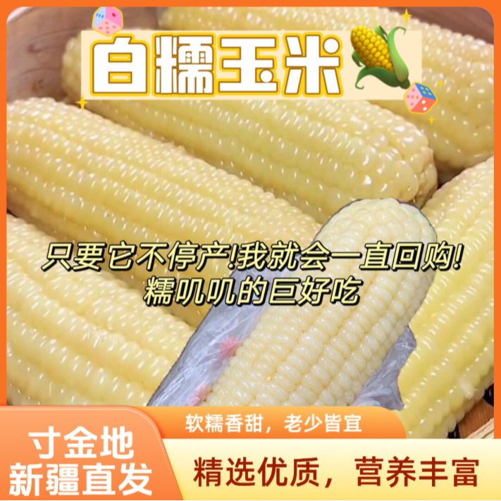 新疆白糯玉米单独包装优良品质金黄诱人口感软糯