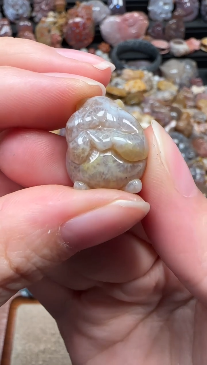 颈饰未镶嵌硅化珊瑚（珊瑚玉）280