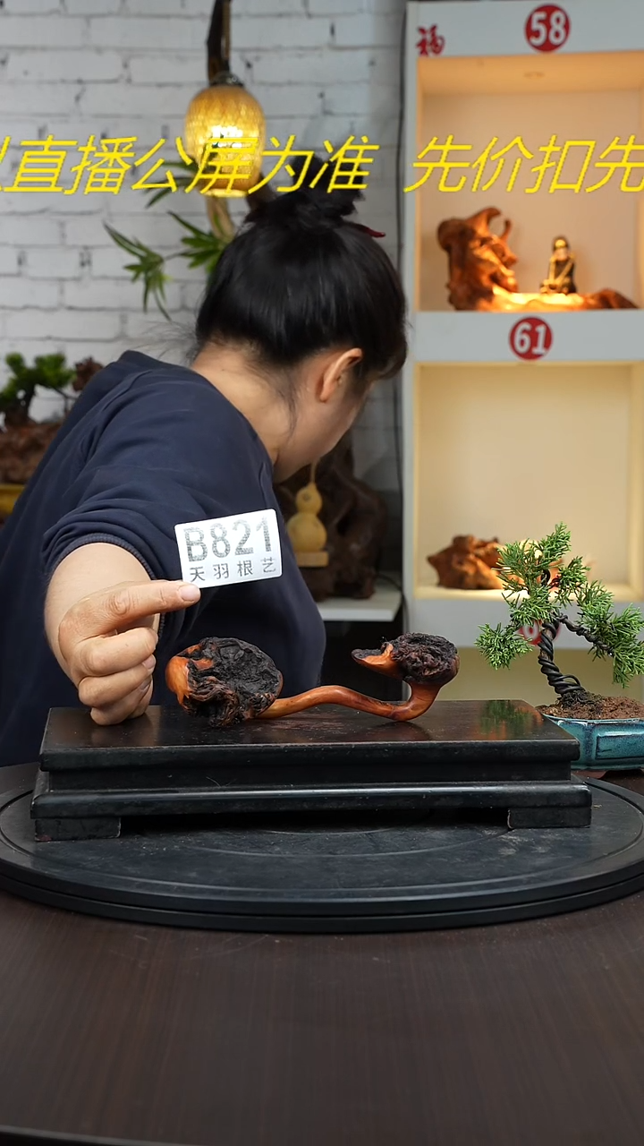 【闪购商品】木木艺云南黑果木如意