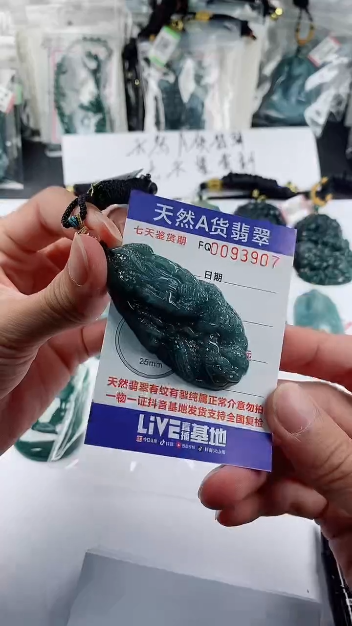 【闪购商品】翡翠颈饰未镶嵌          