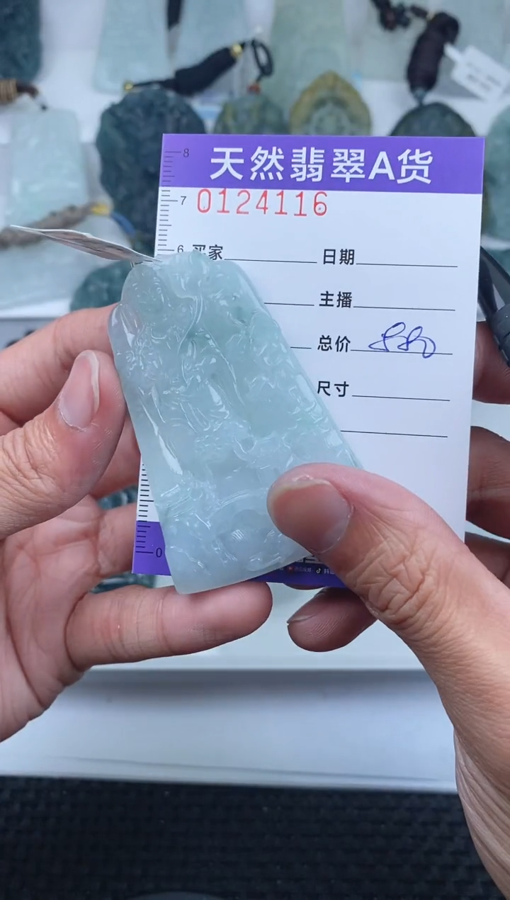 【闪购商品】翡翠颈饰未镶嵌        116
