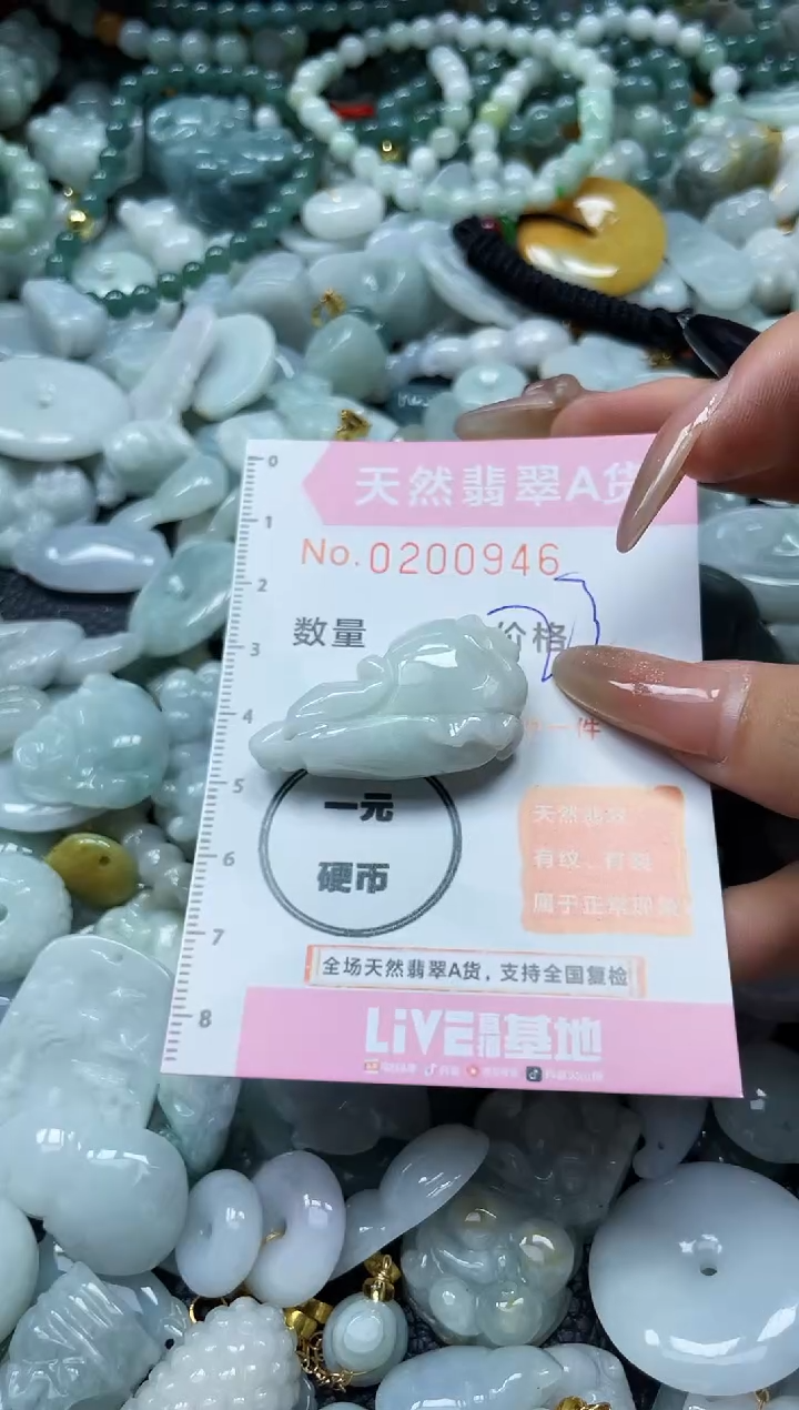 翡翠未镶嵌颈饰闪购0200946