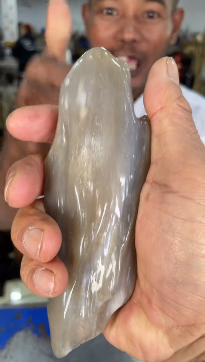 【闪购商品】硅化玉摆件未镶嵌2