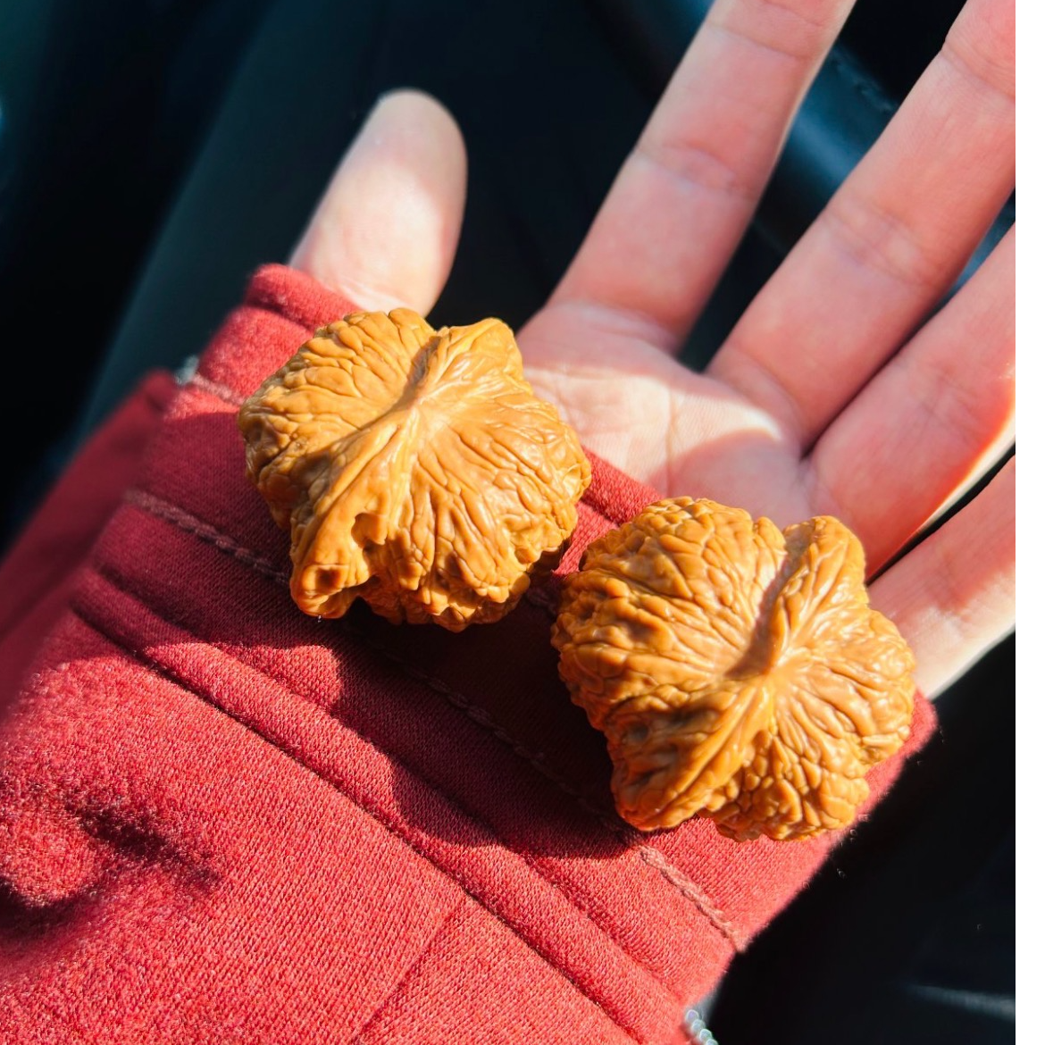 文玩核桃一物一拍专用链接