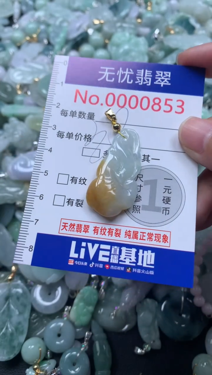 颈饰未镶嵌翡翠853