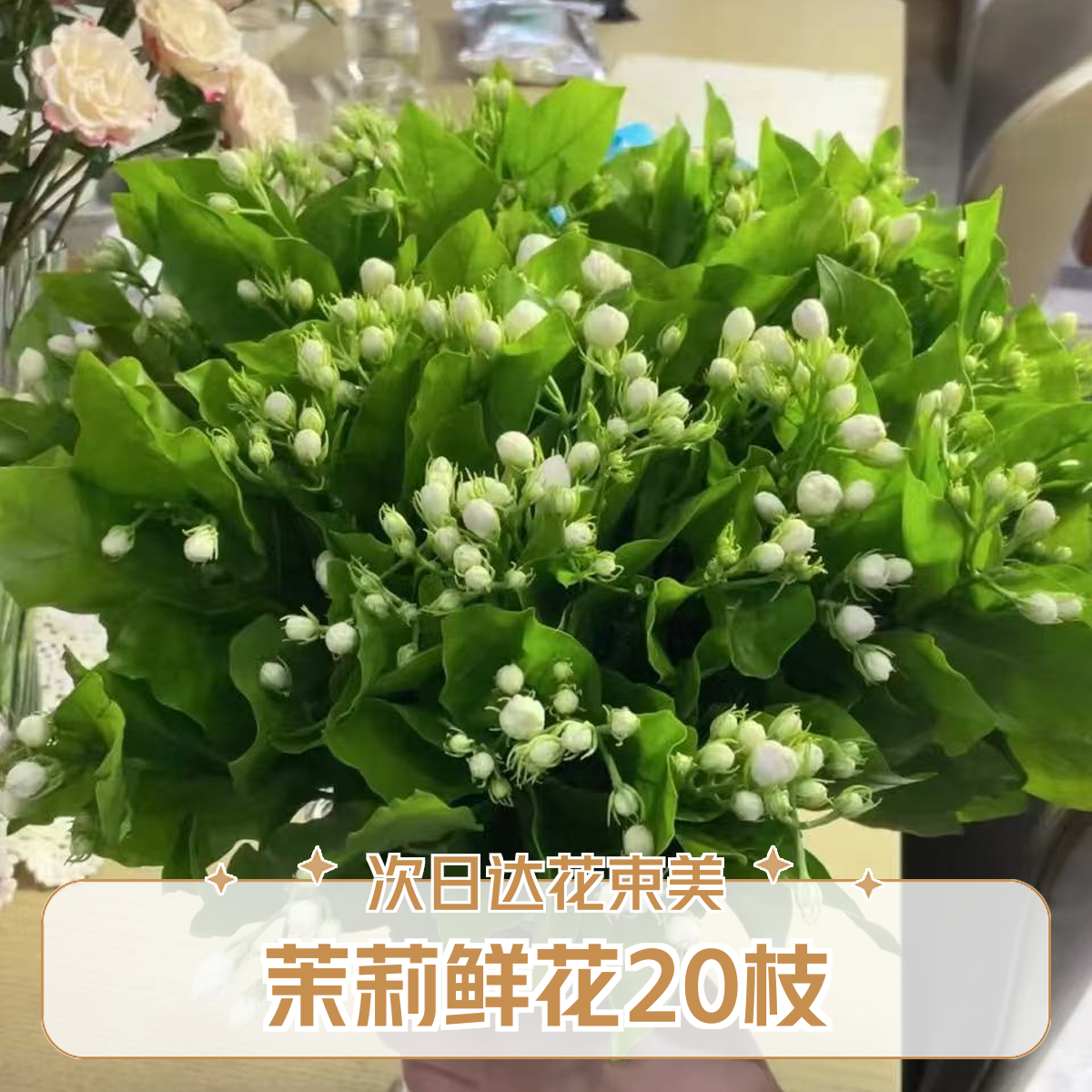 茉莉20枝鲜花家居花次日达