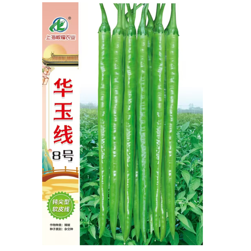 华玉线  每包1000粒 长条顺直8号线椒
