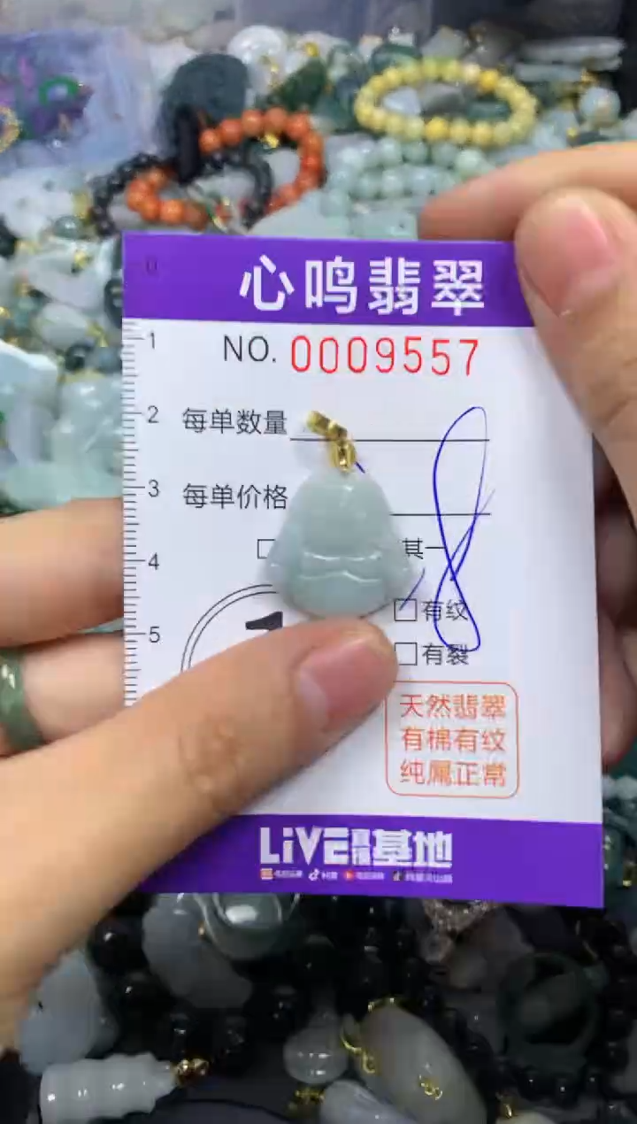 【闪购商品】翡翠颈饰未镶嵌闪购009557