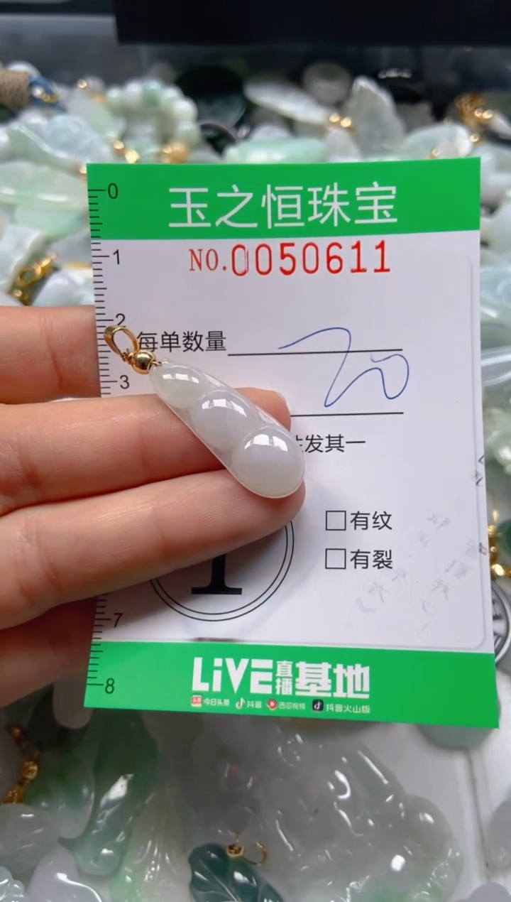 【闪购商品】翡翠颈饰未镶嵌闪购0050611