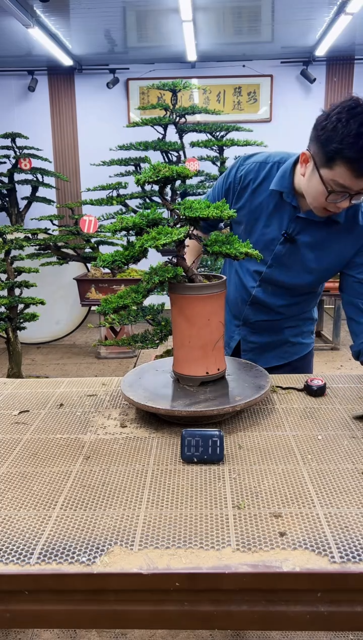 一物一拍，所见即所得