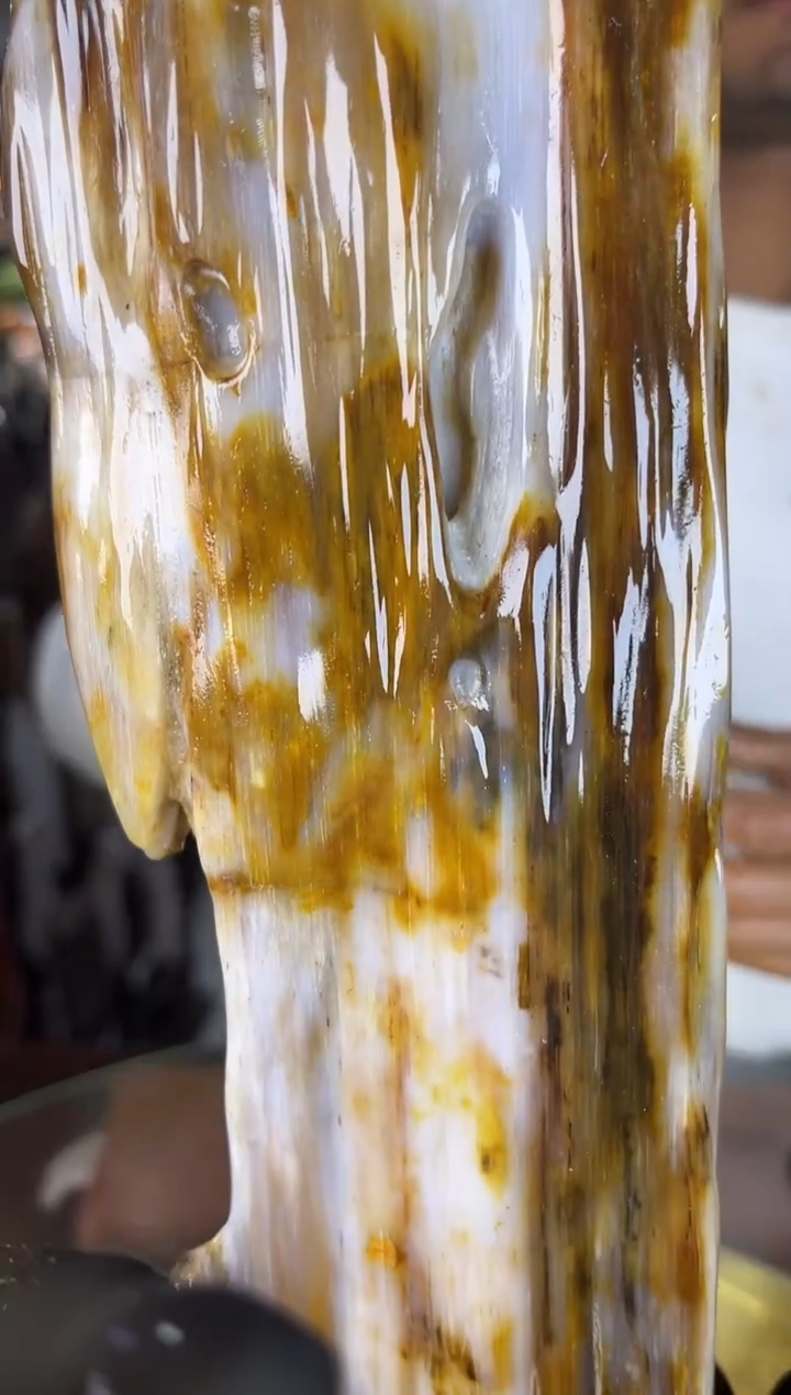 未镶嵌珠宝奇石硅化玉缅甸天然树化玉摆件