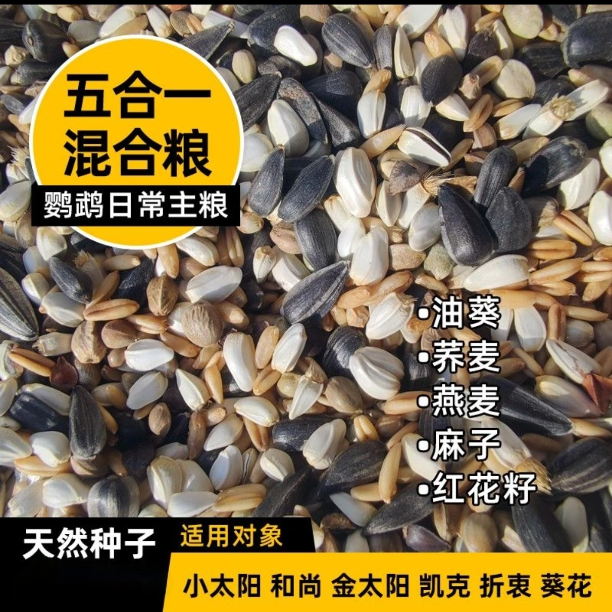 五合一混合鹦鹉鸟粮小太阳和尚金太阳凯克中大型带壳种子饲料鸟食