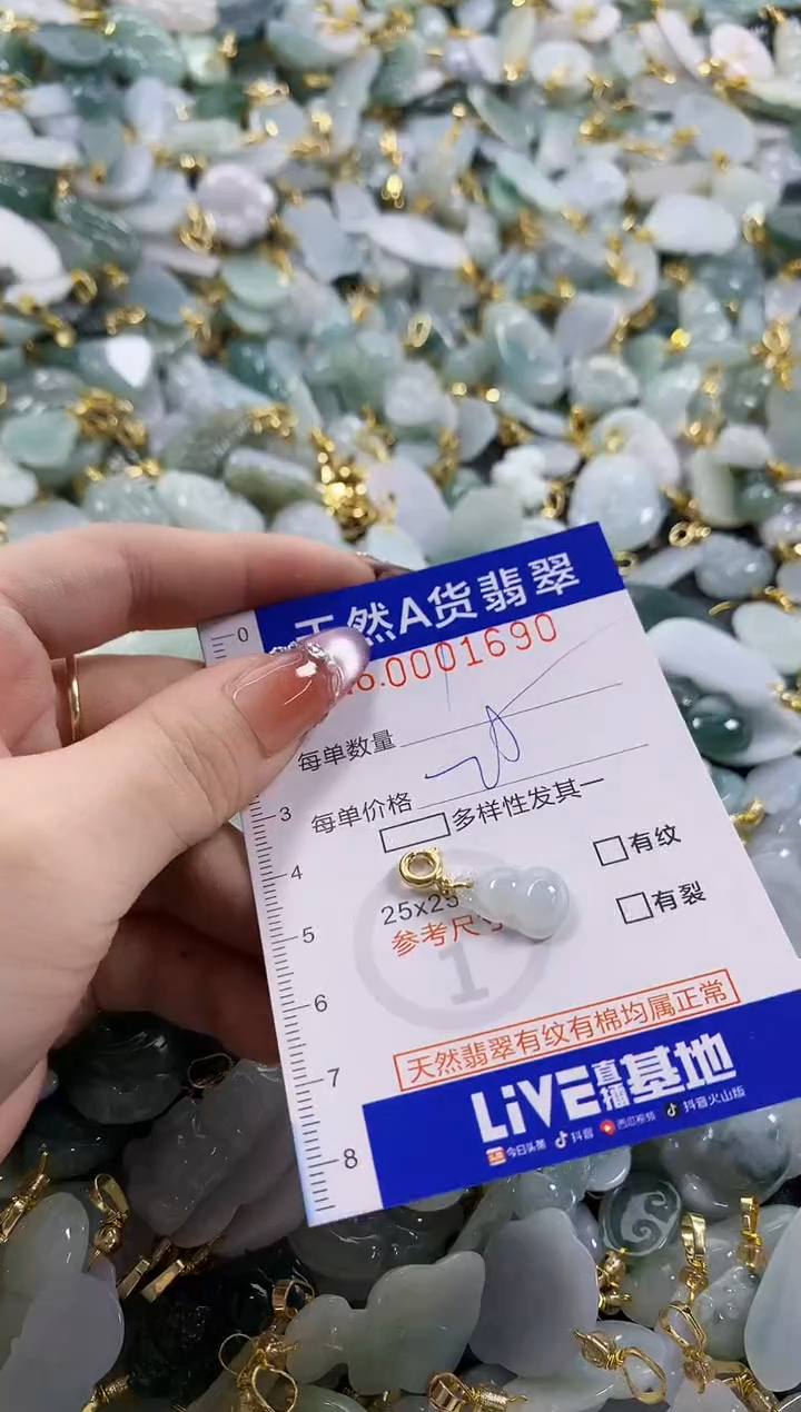 颈饰未镶嵌翡翠天然A货翡翠