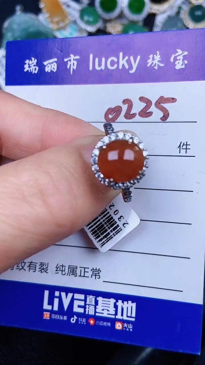 颈饰银S925镶嵌翡翠0225