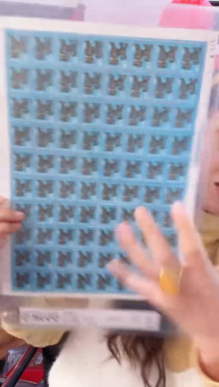 《一轮生肖 狗》大版CSGS评级 邮票