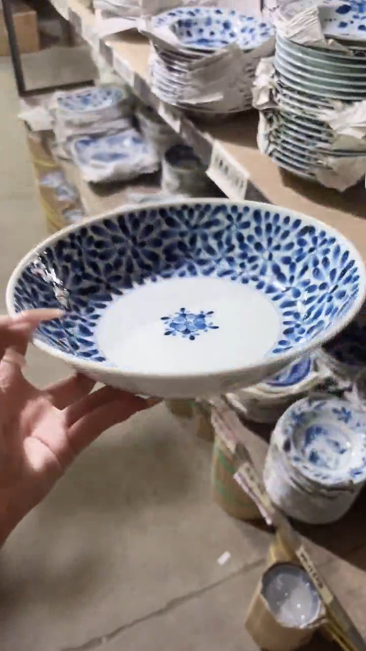 陶瓷【单支】日本进口21.5意面盘一个