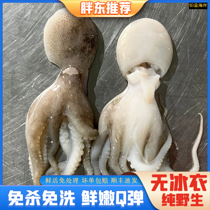 【胖东海鲜】短腿八爪鱼新鲜章鱼鲜冻去内脏免洗250g/包
