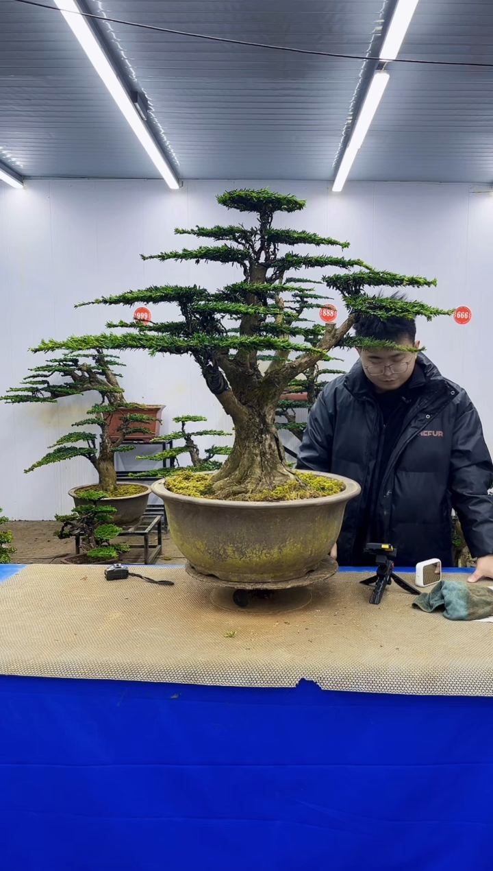 完全开放一物一拍，所见即所得