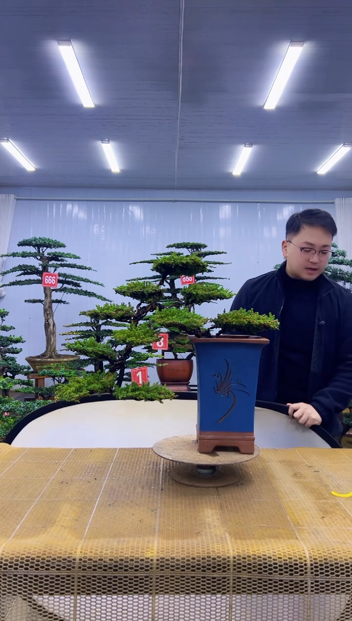 无花朵0000000000000000000000