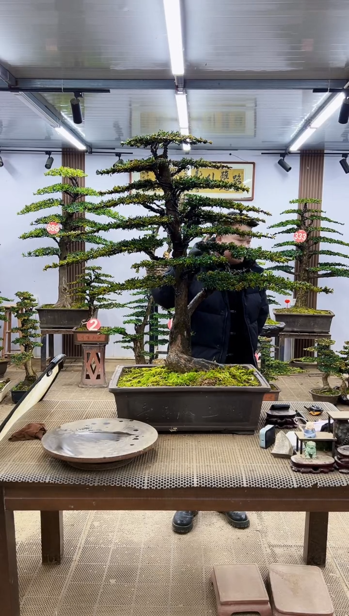 【闪购商品】000000000