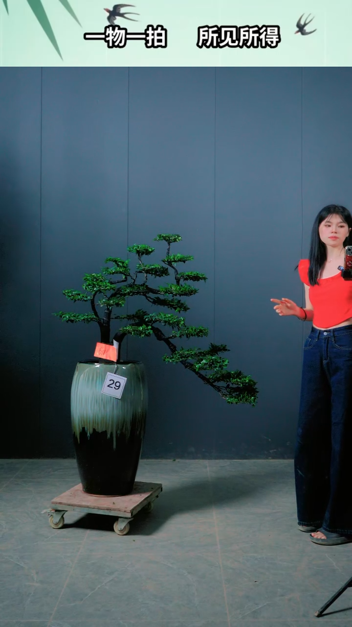 树脂广东的， 小叶紫檀