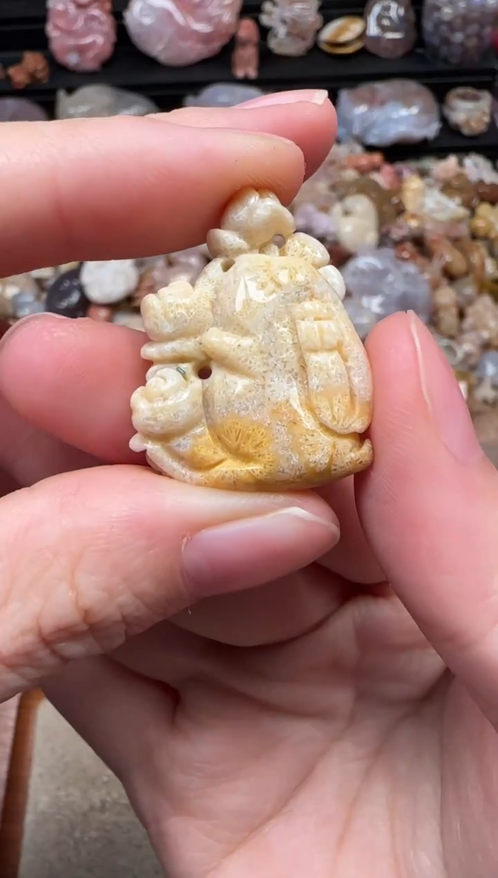 颈饰未镶嵌硅化珊瑚（珊瑚玉）250