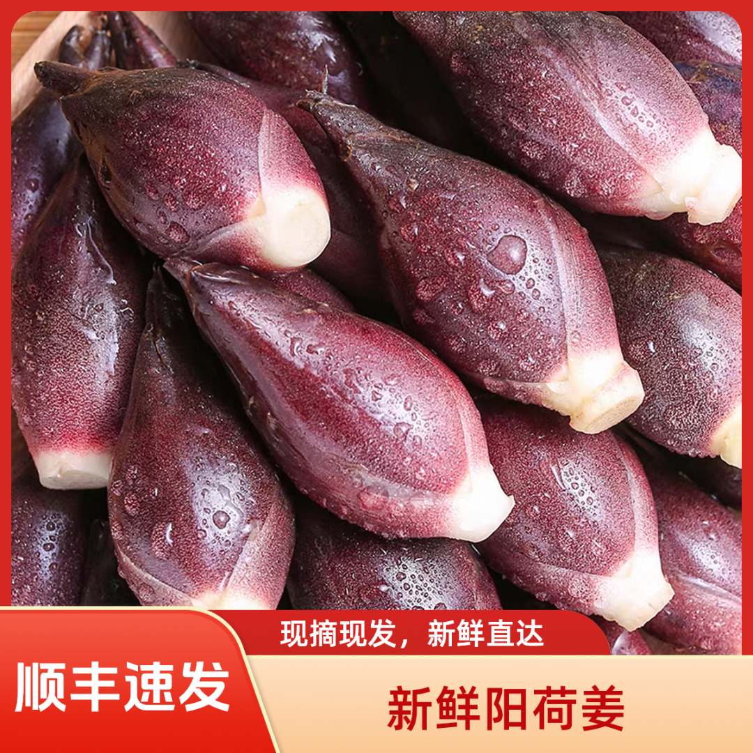 顺丰新鲜洋荷姜现摘现发阳荷姜洋荷笋洋霍阳合姜洋火蘘荷新鲜蔬菜