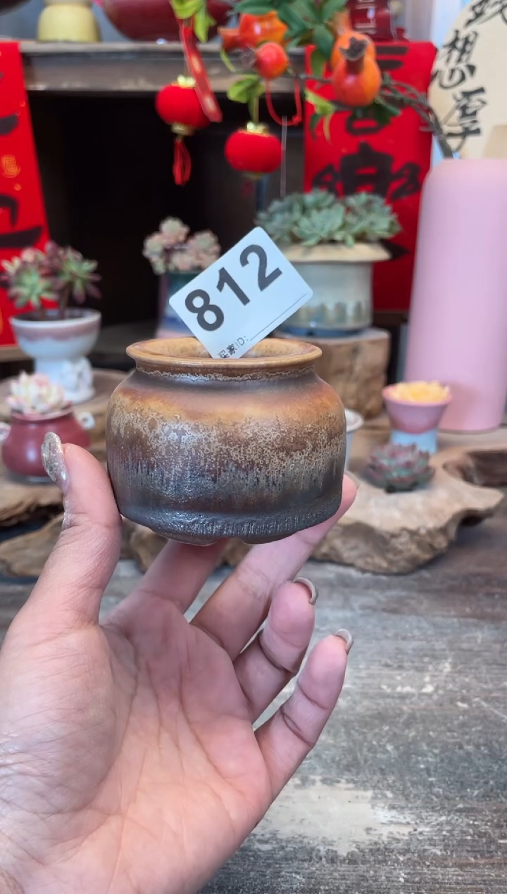 【闪购商品】摆件812知木小芳花盆