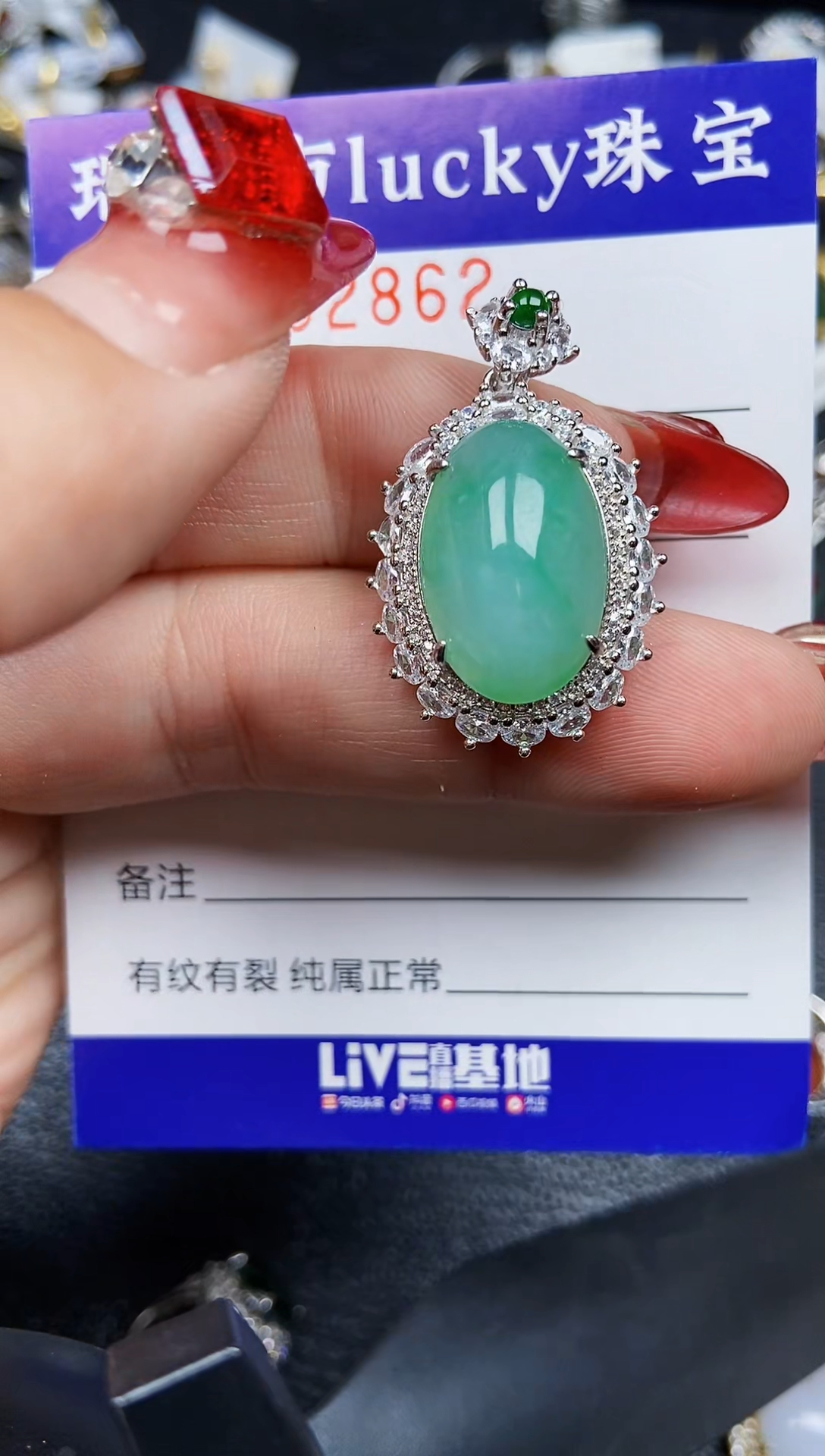 【闪购商品】翡翠颈饰银S925镶嵌2862