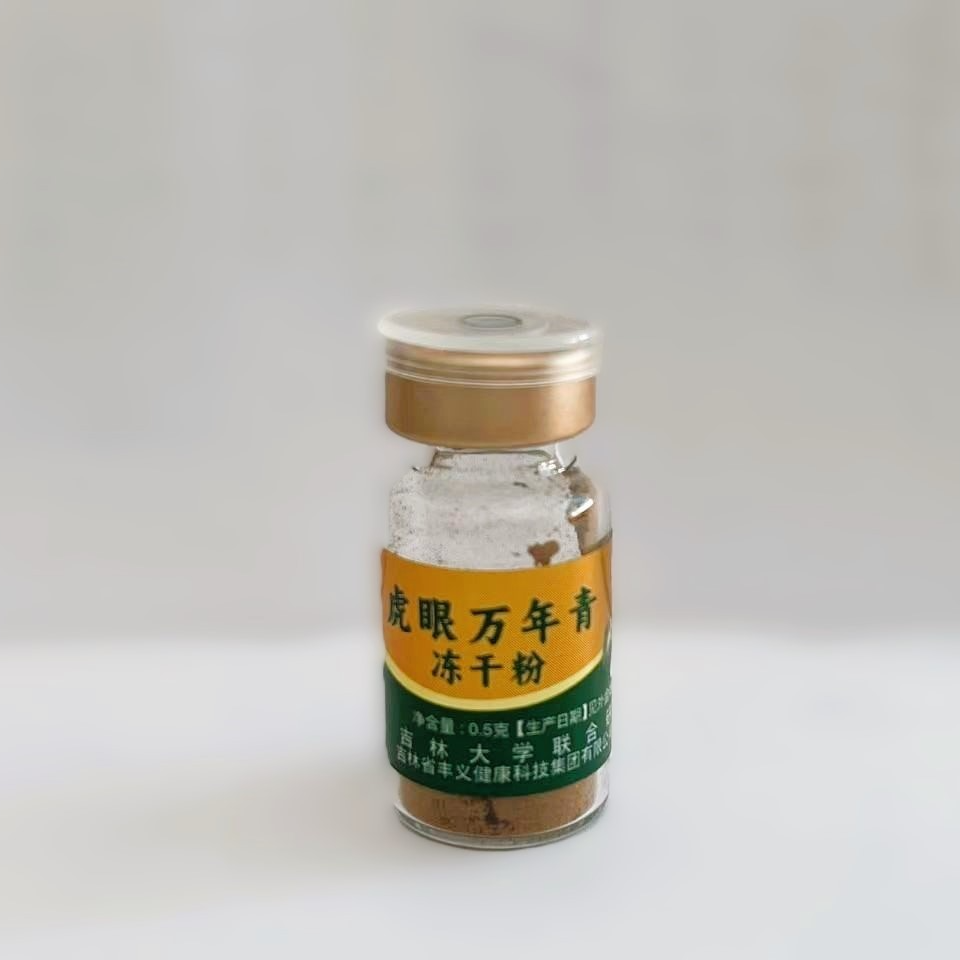  丰义虎眼万年青  冻干粉 ＋桑黄液