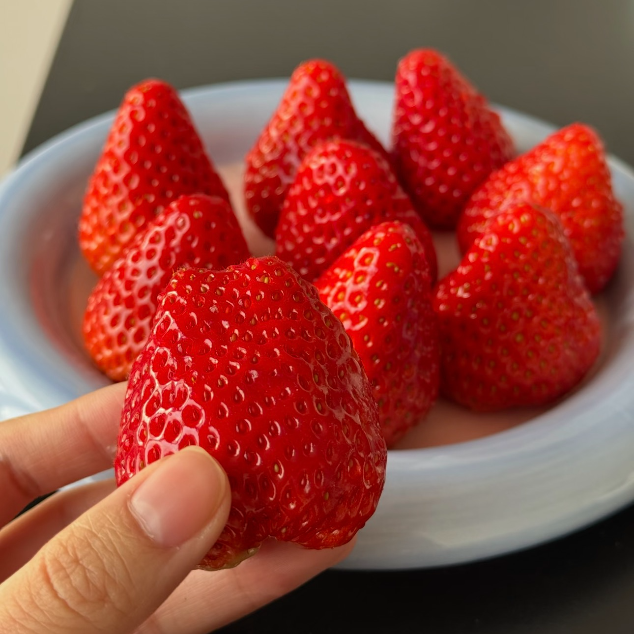 【京东次日达】丹东草莓