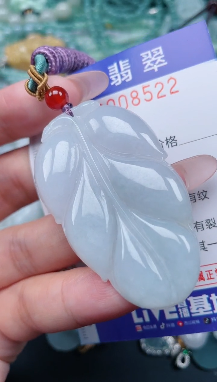 翡翠未镶嵌颈饰.0008522