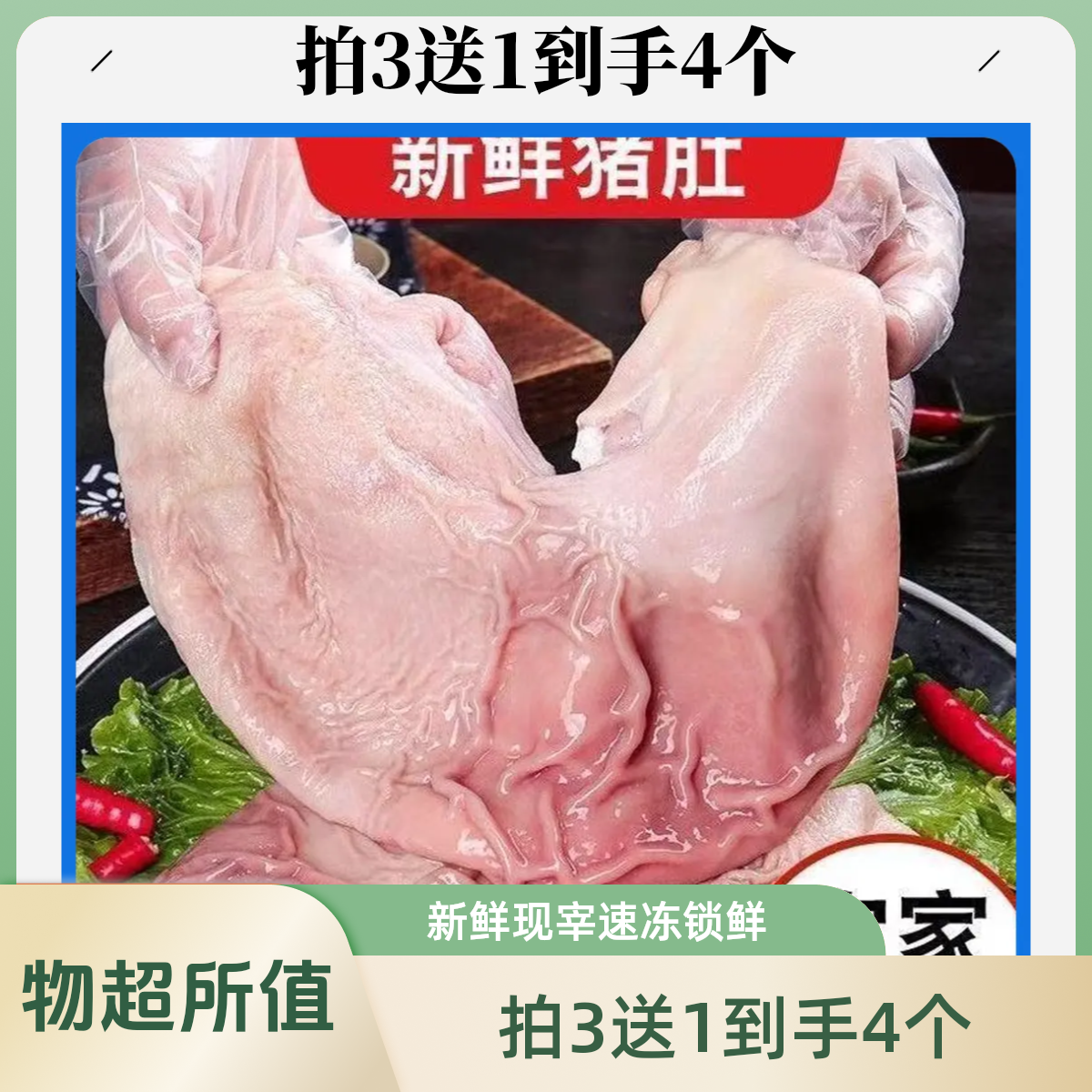 顺丰包邮今天拍明天到【拍3个送1个】到手4个 整个农家土猪猪肚速冻锁鲜B1