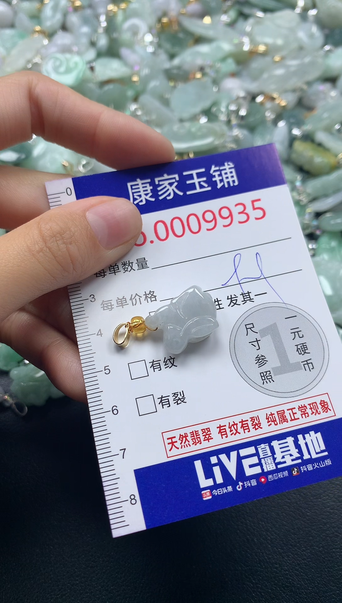 颈饰未镶嵌翡翠9935