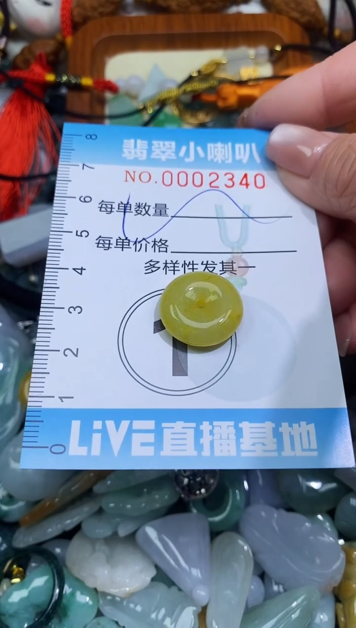 【闪购商品】翡翠颈饰未镶嵌闪购0002340