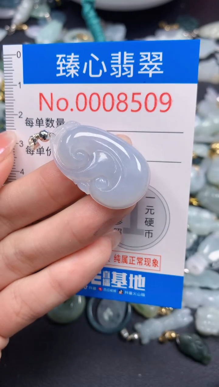 吊坠(不含链)未镶嵌翡翠8509