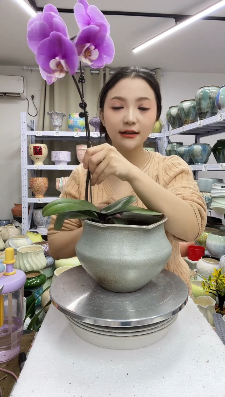 【12.31】花盆链接高：15  口：15