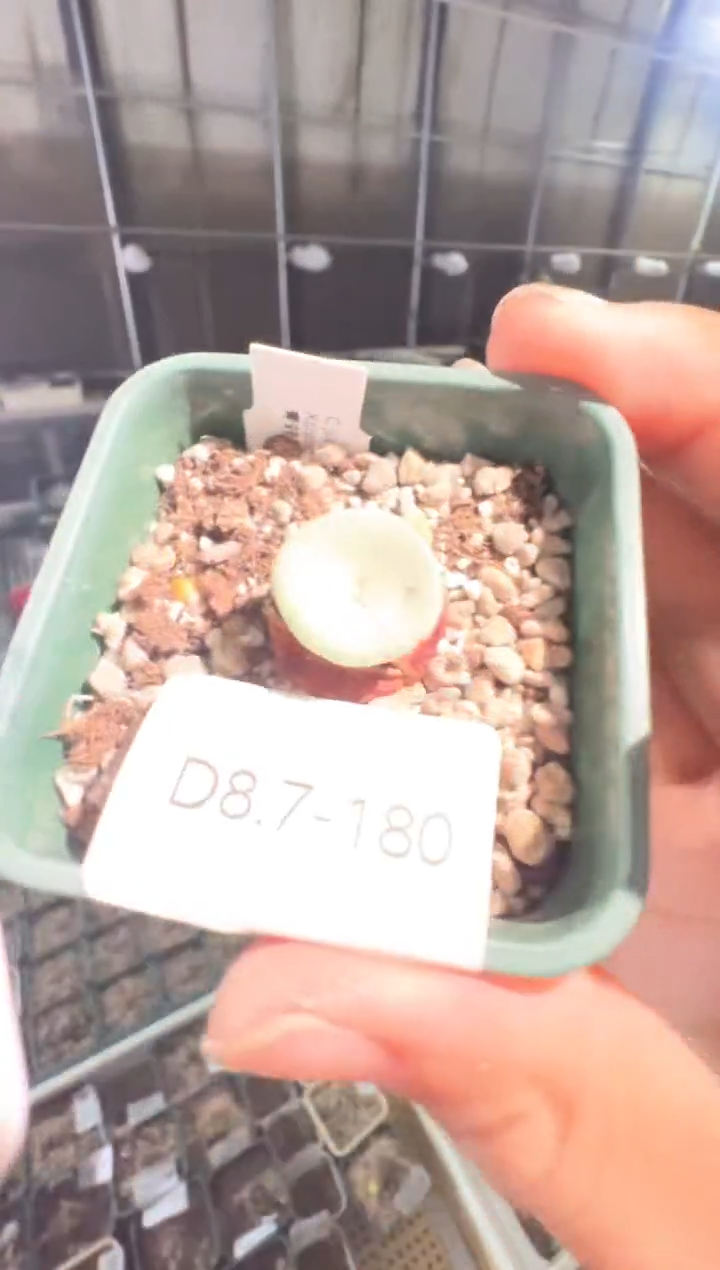 180.................