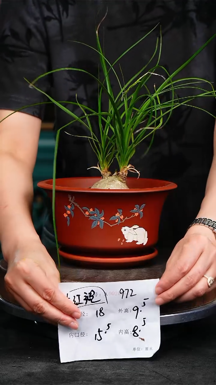 紫砂花盆972+z紫砂花盆