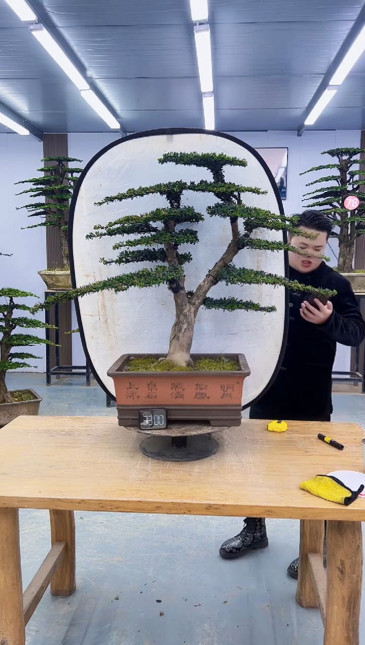 以实际为准000000