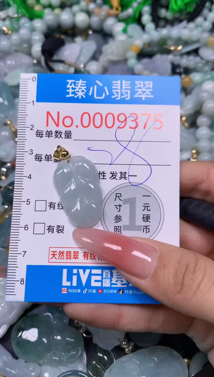 【闪购商品】翡翠颈饰未镶嵌含绳000375