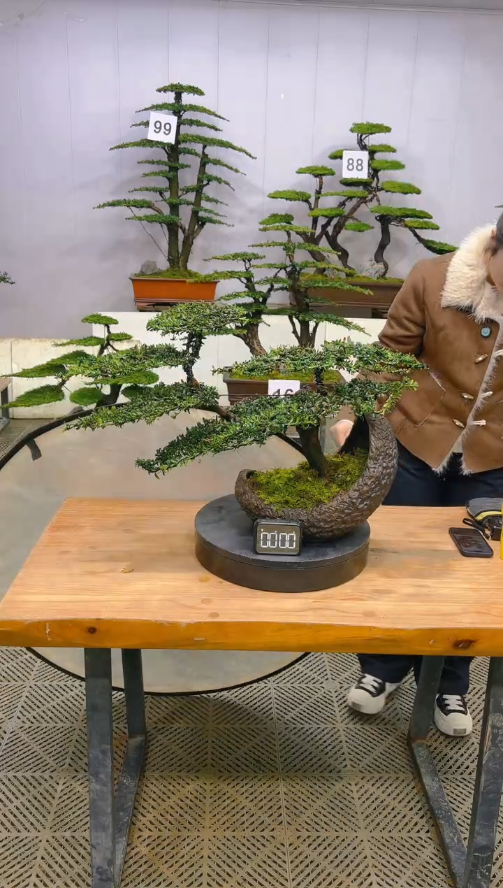 无花朵一物一拍一物一拍