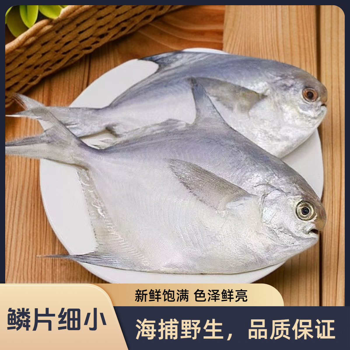 【京东顺丰冷链车发货】新鲜海捕银鲳鱼 刺少肉嫩 6条/斤