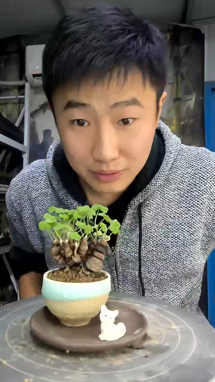 宏*中青园艺一物一拍花414