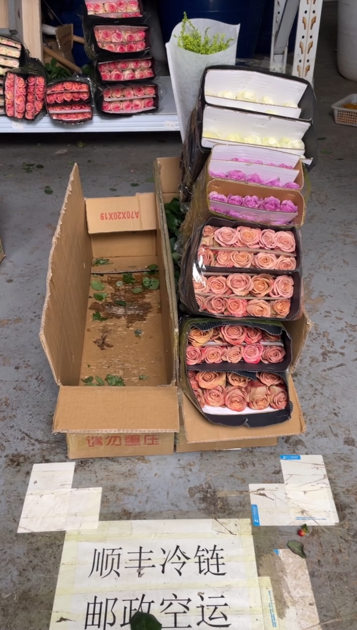 卡布2扎+紫霞1扎+骄傲1扎+黄莺