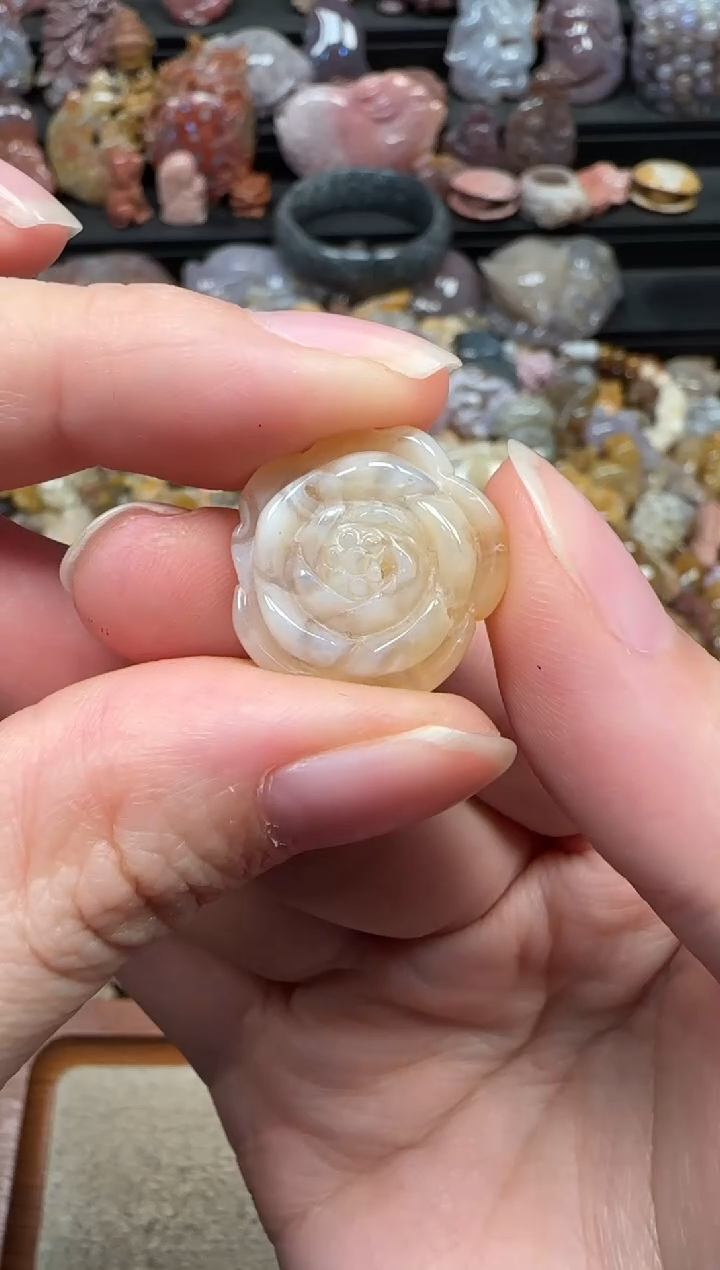 颈饰未镶嵌硅化珊瑚（珊瑚玉）271